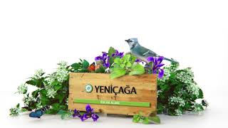 Bolu Doğa Filmi - Bolu Milli Ve Tabiat Parkları -1