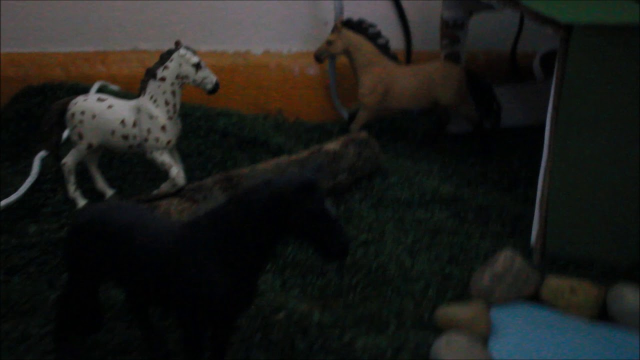 Spirit Herd! Schleich Wild Horse Challenge!!