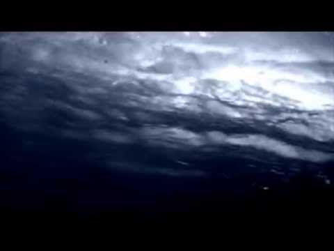 The Rainsong Acoustic Instrumental