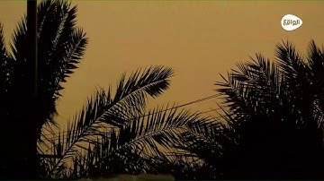 أذكار المساء | إبراهيم النجاشي #كاريزما52