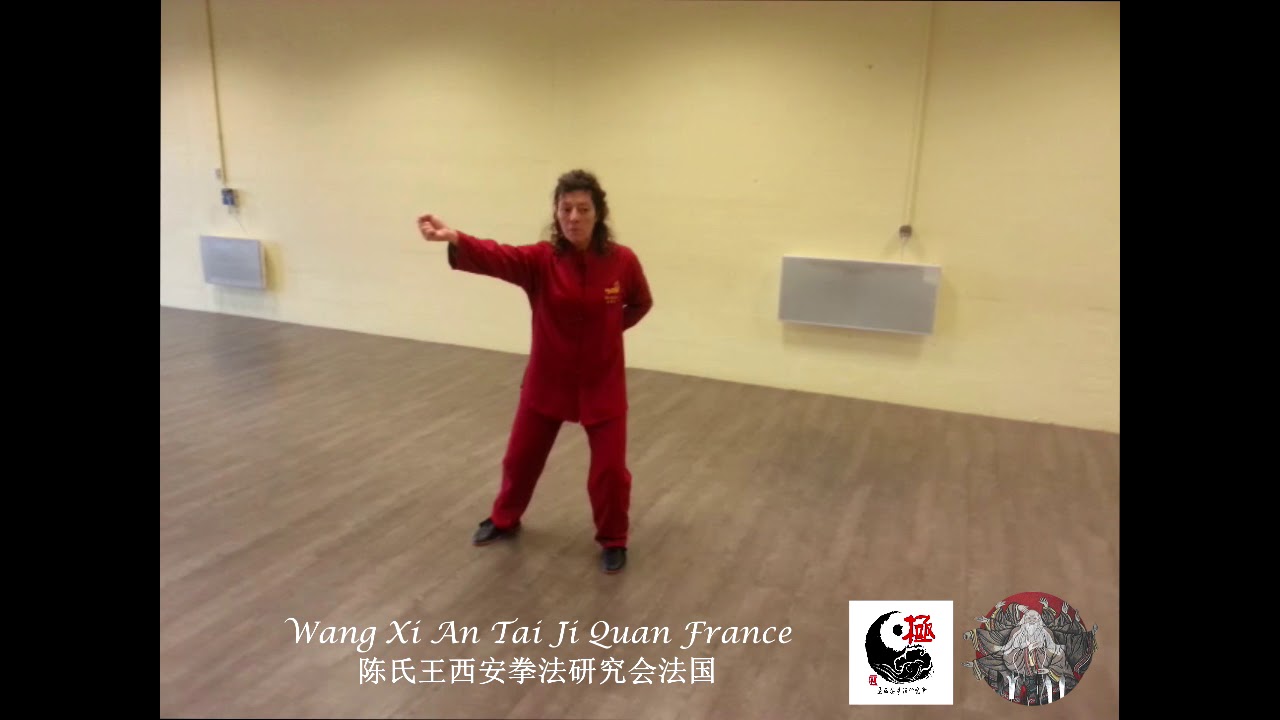 Tai Ji Quan Style Chen du Grand Maître Wang Xi An, formes des 24 mouvements