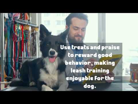 How to Stop Any Leash Problem with Any Dog part1 #shorts