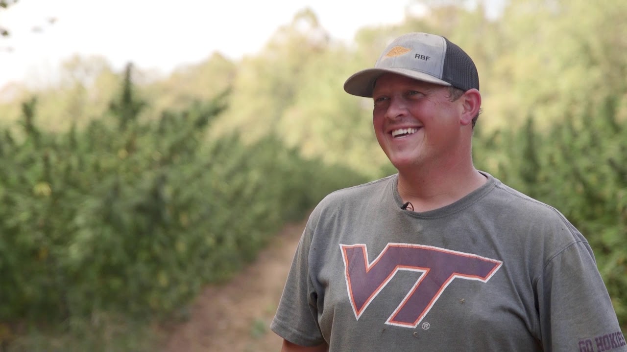 Our 2019 Smokable Harvest