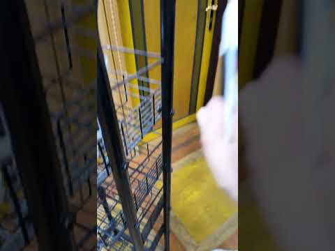 Otter International Sdn Bhd