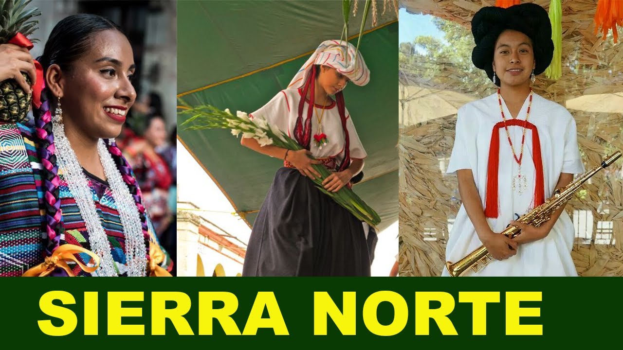 ZAPOTECOS, MIXES Y CHINANTECOS | Pueblos Indígenas en la Sierra Norte de Oaxaca.
