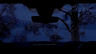 Sleep to Sound of Heavy Rain on Car by Forest Lake. Stop Insomnia with Rain Sounds on Car