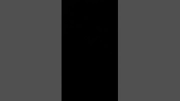 Unit 1 Summative Listening Number 5