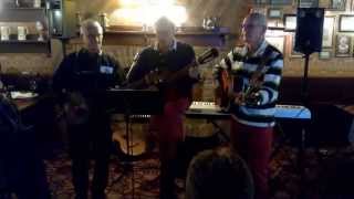 Video thumbnail of "Hootenanny Trio plays  Esplanaadi (live 2014)"