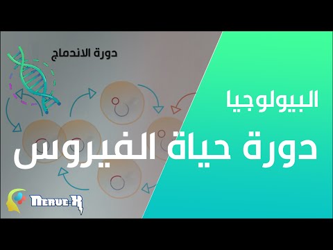 فيديو: هل الفيروس يتكاثر ذاتيًا؟