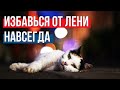 Как побороть лень. 4 типа лени. Прокрастинация