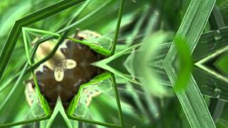 En la tierra como en el cielo