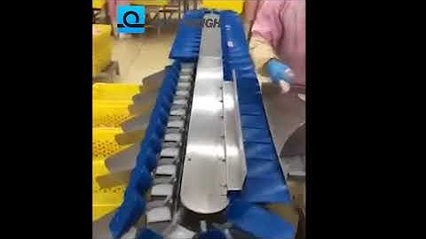 Weight Grader  Chicken wing grading