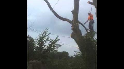 The Art and Science of Rigging and Lowering