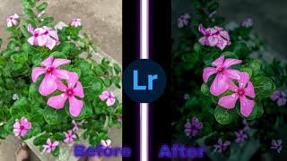 From Raw to Wow: [Lightroom Editing Tutorial]