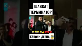 Хидоят - ШАВКАТ & КАНОНИ ДЕВНА #хидоят #шавкат #приколы #вандамм #калтакелас #зухра #2023status