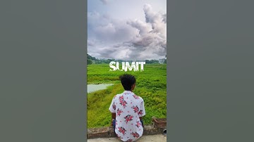 urban jungle video editing vn app/youtube short video #Rabbit#youtube#viral #shorts#@rabieditz-st