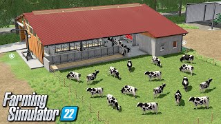 Hodowla krów  Farming Simulator 22 | #51