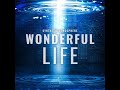 Synthetic Atmosphere - Wonderful Life