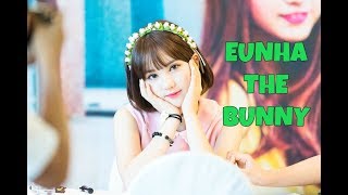 Jung Eunbi (Eunha) = The Cutest Bunny Ever (Funny/Cute Moments)