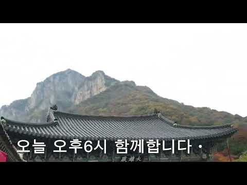 #초대가수 박진도 와 함께하는 실방 오후6시#