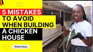 5 Mistakes to avoid when building a chicken House #chicken #urbanfarming
