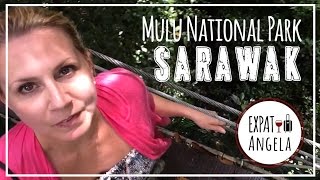 Borneo Bats, Caves & Skywalks At Mulu National Park Malaysia Luxury Travel Blog