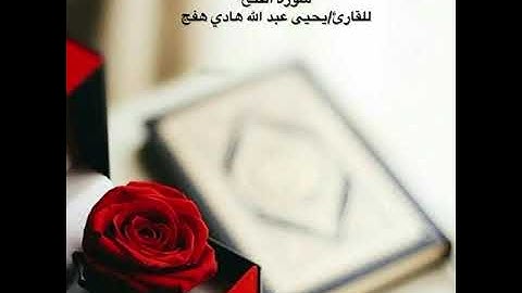 صلاة التراويح ليلة ١٣ رمضان ١٤٤٦ هـ للقارئ / يحيى عبد الله هادي هفج  مسجد حمزة  بن عبدالمطلب  مكة