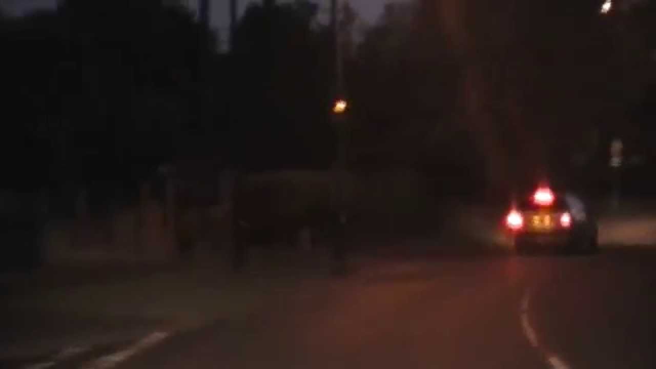 Derby's Street Lighting PFI Birchover Way, Allestree (Night) YouTube