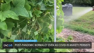 What Does Post-Pandemic Normalcy Look Like as COVID-19 Anxiety Persists News