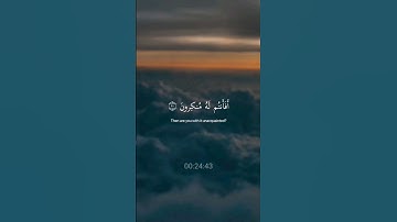 #قرآن_كريم #تلاوة_خاشعة #راحة_نفسية #قران_قبل_النوم #قران_كريم_ارح_سمعك_وقلبك #قران_كريم #قرآن