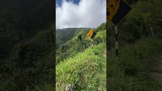 Mount Horeb, Blue Mountains, St Andrew, Jamaica