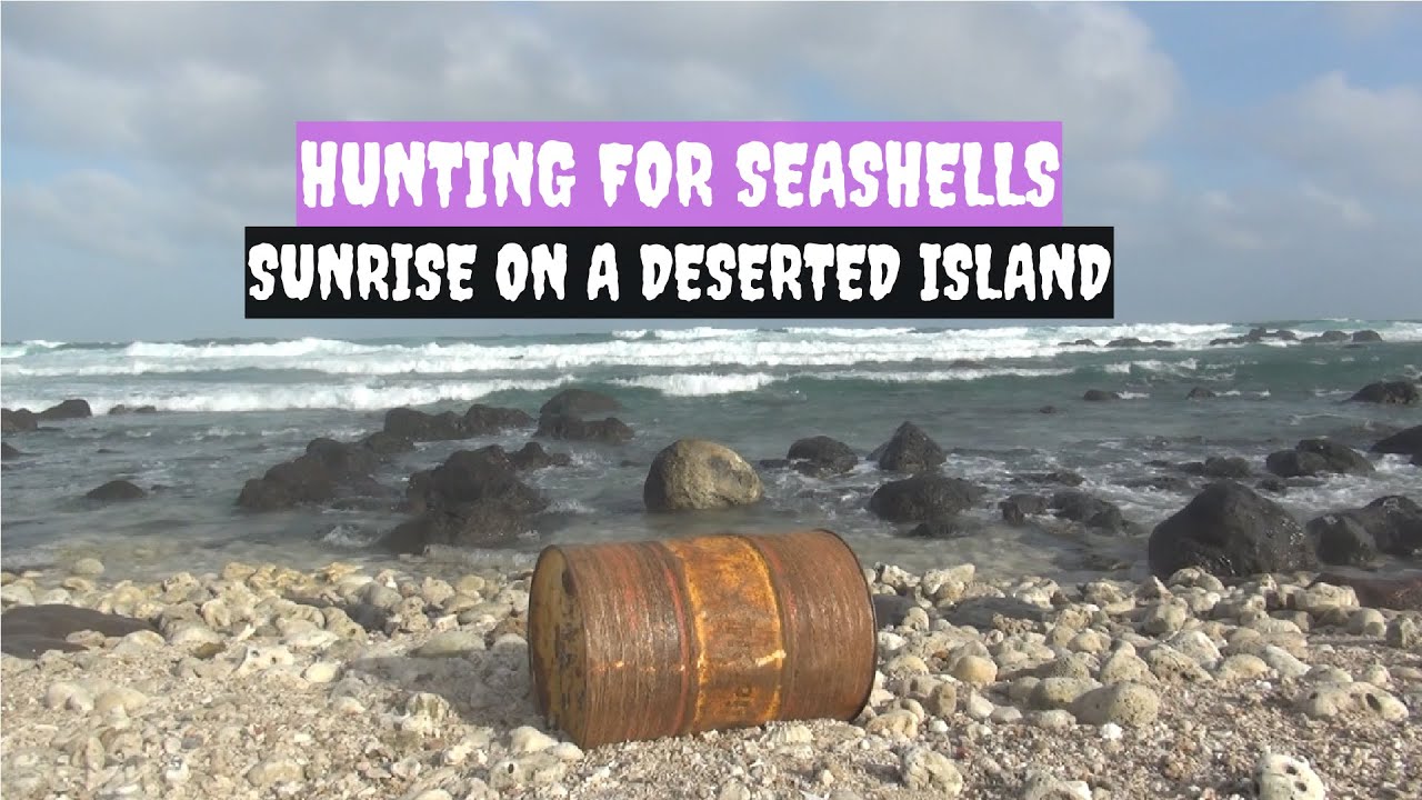 Hunting for seashells and watching the sunrise on the deserted island