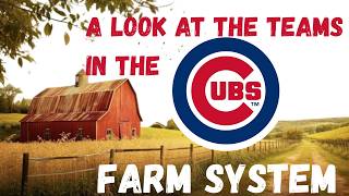 A look at the teams in the Chicago Cubs farm system