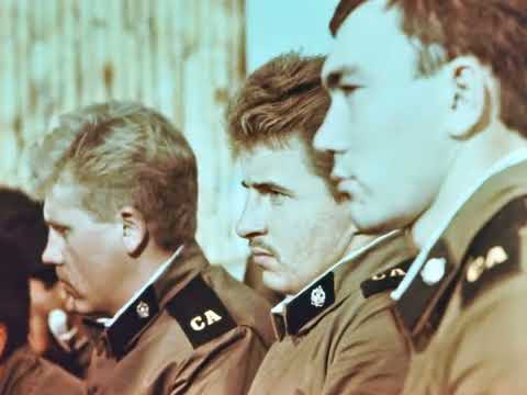 Видео: Дедовщина  в армии СССР