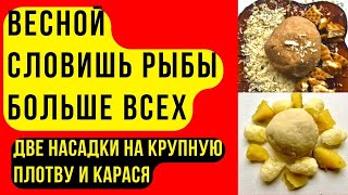 Две насадки для рыбалки на КРУПНУЮ ПЛОТВУ и КАРАСЯ. Работают всю весну.