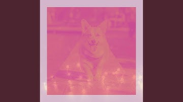 Pulsating Backdrops for Dog Party at Home