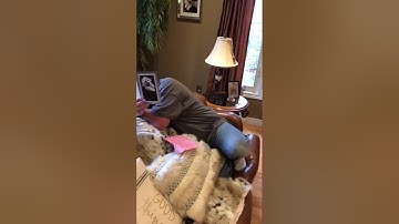 Mourning Father Welcomes New Dog Into Family