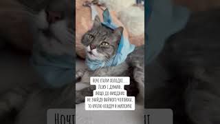 Ночі стали холодні