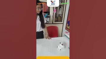 Make your child future-ready with Coding, Robotics & AI at BDS Education. Start their journey early!