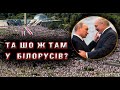 Беларусь & Белоруссия? Выборы, Лукашенко, люди. Неделя прошла.