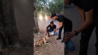 "Can a Dog Actually Understand Me? | Dog Translator App Test"#shorts