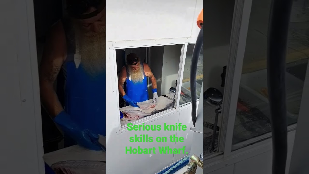 Fish munger at work. Hobart, TAS