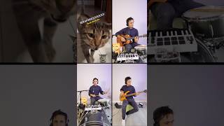Serafino (Singing Cat Song) 😻