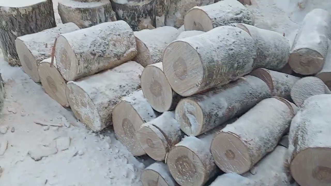 Масленица. Снег. Дрова. Закат.  Новости не о чём.