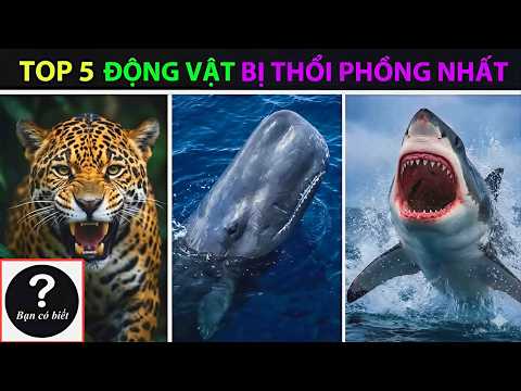Top 5 Animals That Get Inflated the Most (Part 3) - Did You Know?