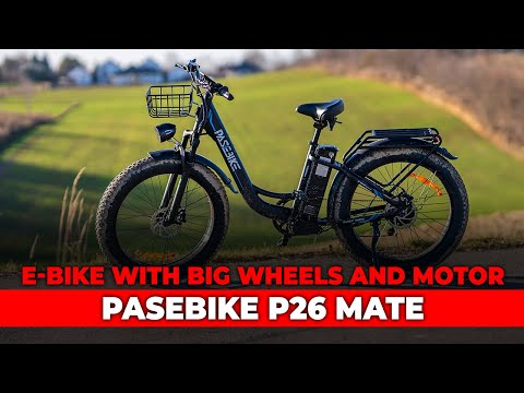 Pasebike P26 Mate