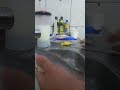 como tirar  espinha  dos peixes parte   1