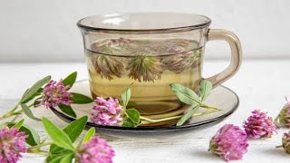 How To Make Red Clover Tea Red Clover Benefits