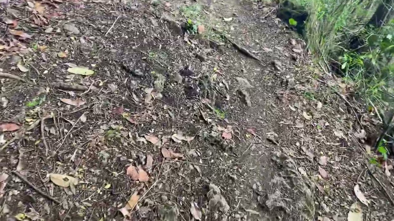 Geology Vlog-Salinas Salt Spring in Bambang