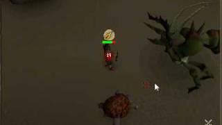 Dragon Claws at KQ